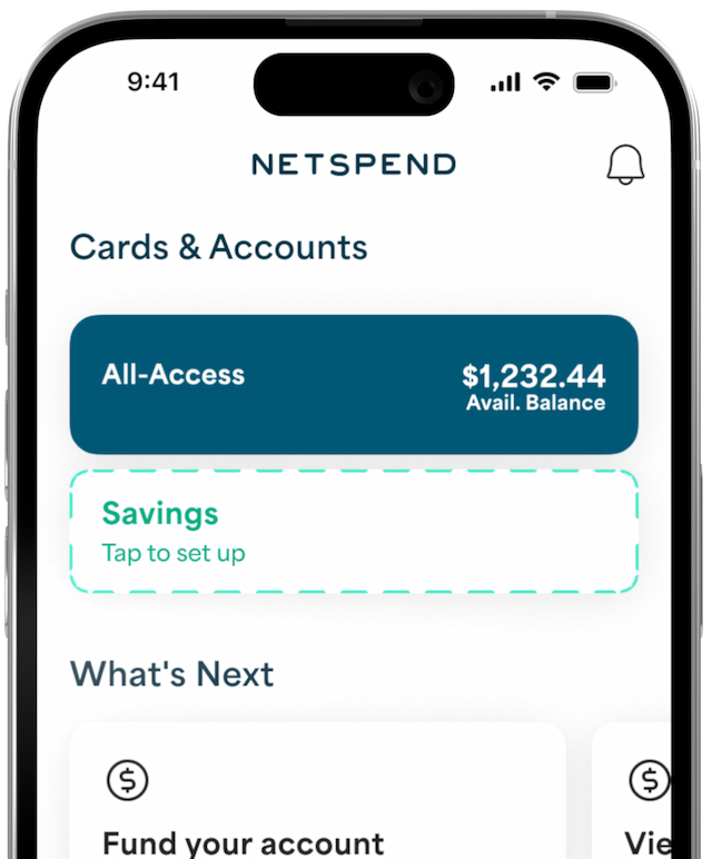 Netpsend App dashboard displayed on an iPhone