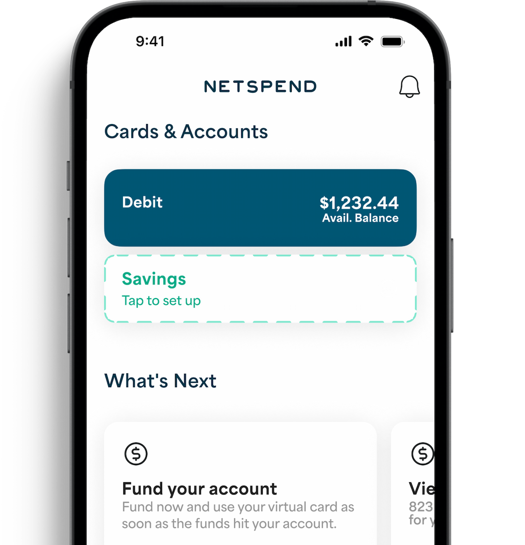 Netpsend App dashboard displayed on an iPhone