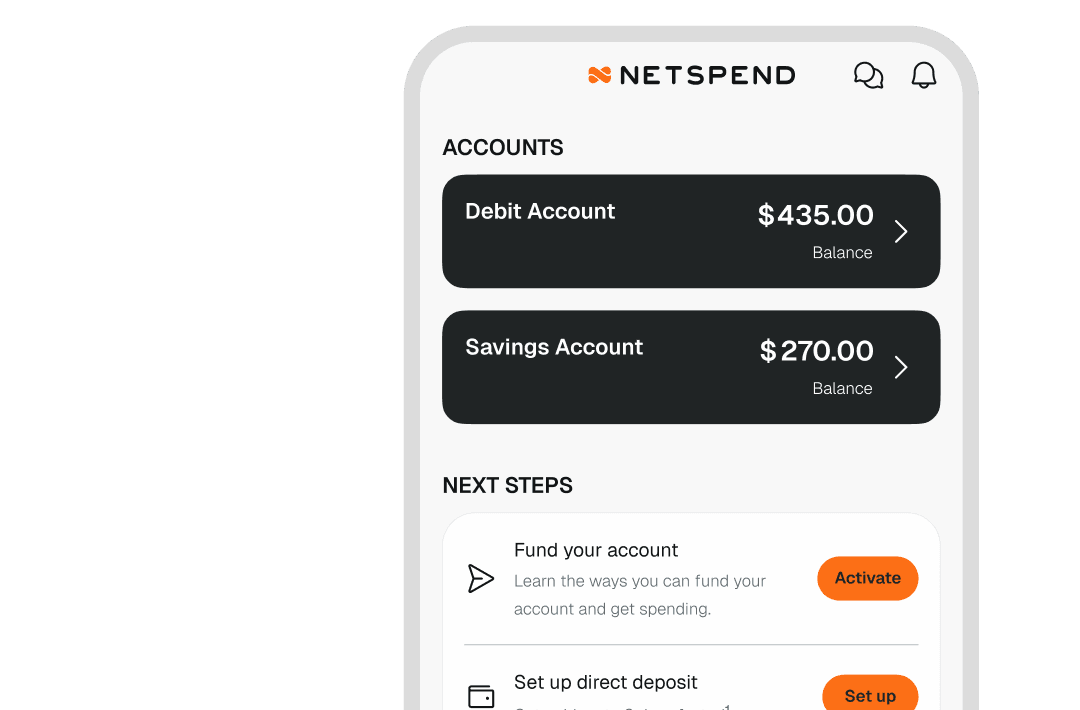 Screenshot of the Netsepnd app dashboard